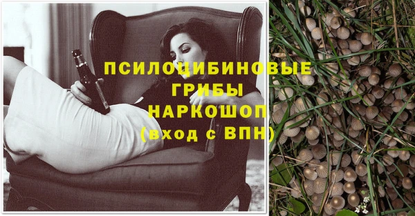 спайс Арсеньев