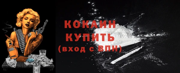шишки Армянск