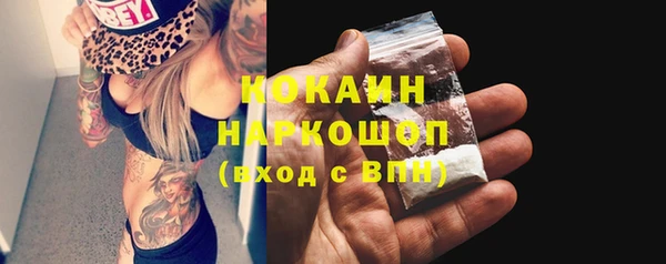 шишки Армянск