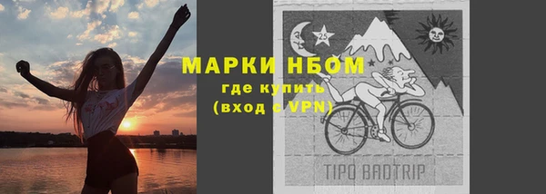 шишки Армянск