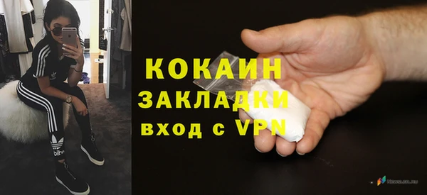шишки Армянск