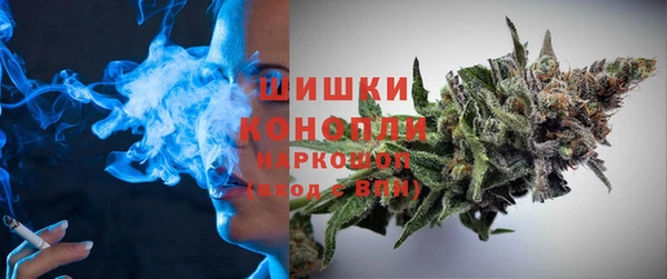 шишки Армянск