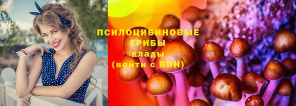 спайс Арсеньев