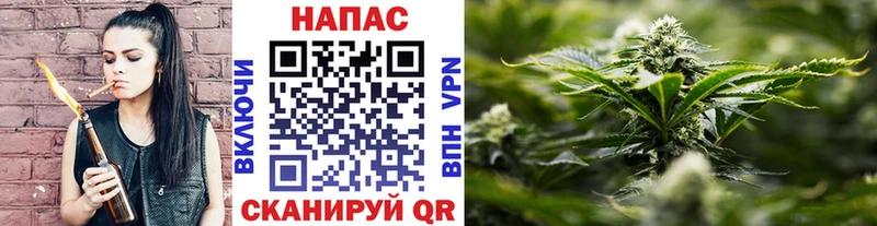 Бошки марихуана THC 21%  omg как зайти  Гвардейск 
